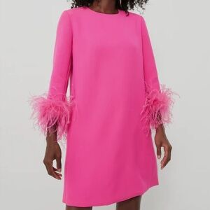 Tuckernuck Hot Pink Feather Mod Mary Dress